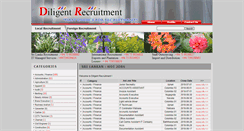 Desktop Screenshot of diligent.lk